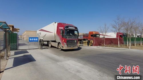 新疆阿拉山口口岸首批公路運輸進境種苗順利入境，開啟種質資源引進新篇章